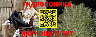 трава Бузулук
