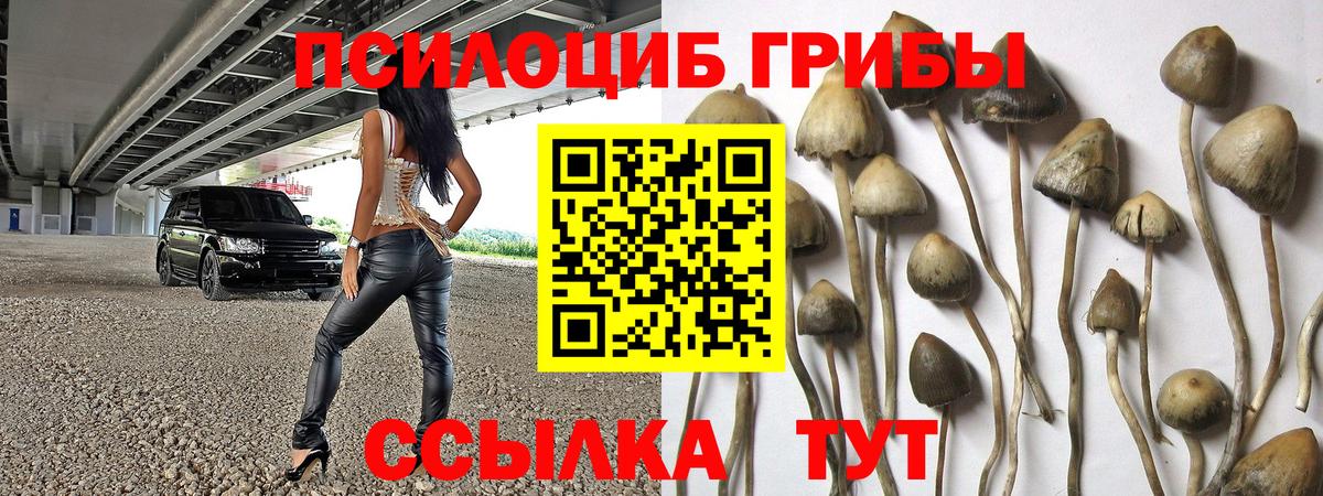 Прохладный  Псилоцибиновые грибы MAGIC MUSHROOMS  Вход с VPN  Псилоцибиновые грибы ЛСД 